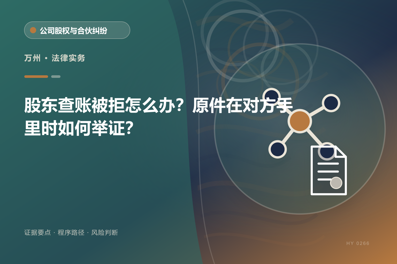 万州股东知情权证据与办理流程示意图