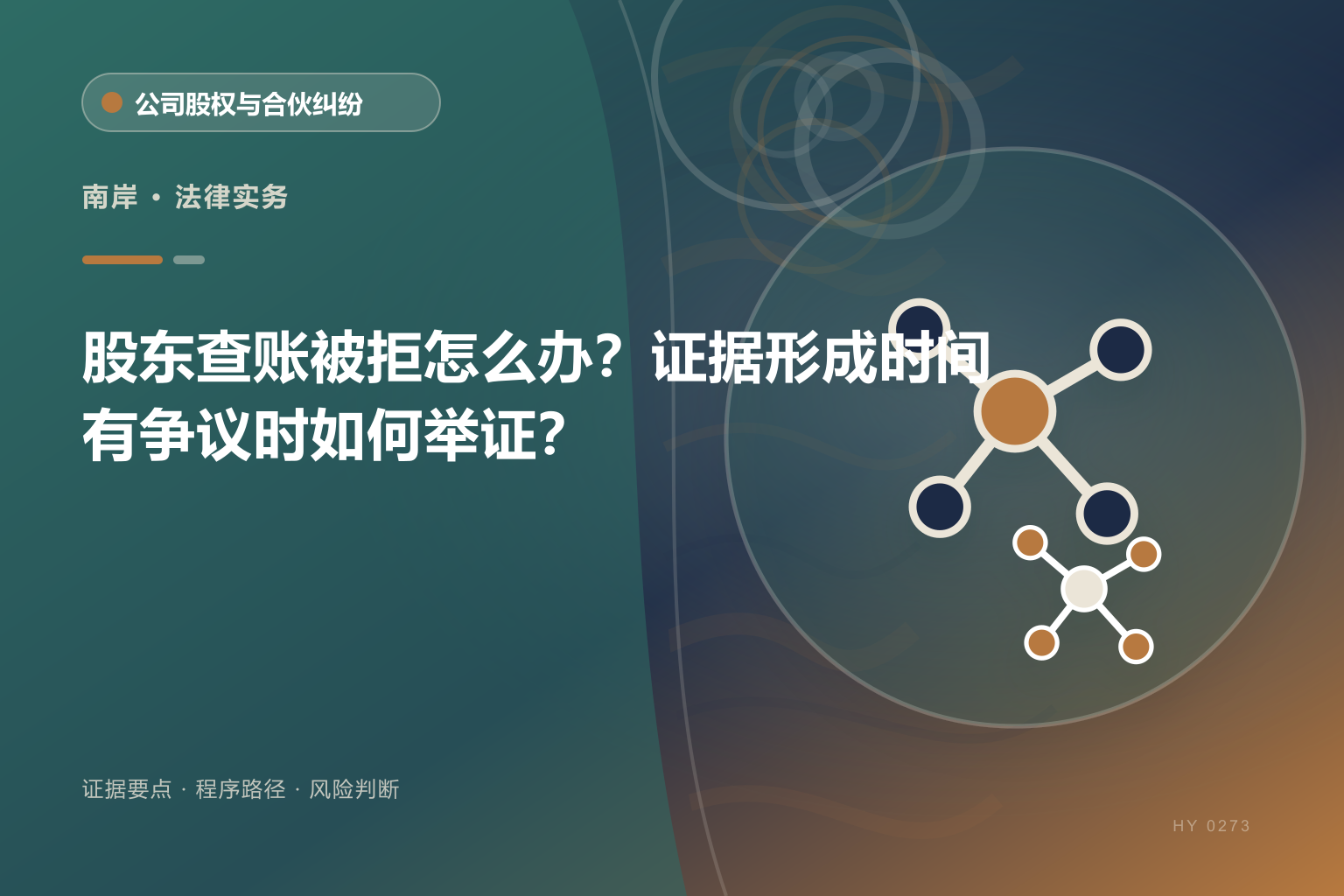 南岸股东知情权证据与办理流程示意图
